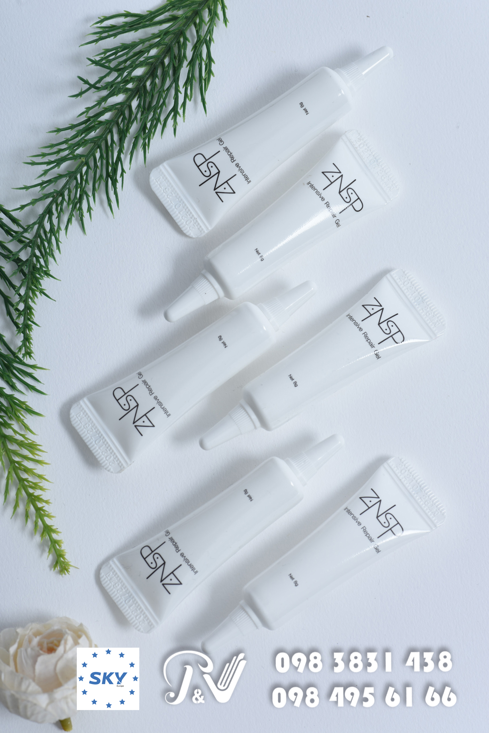 Tế Bào Gốc ZNSP