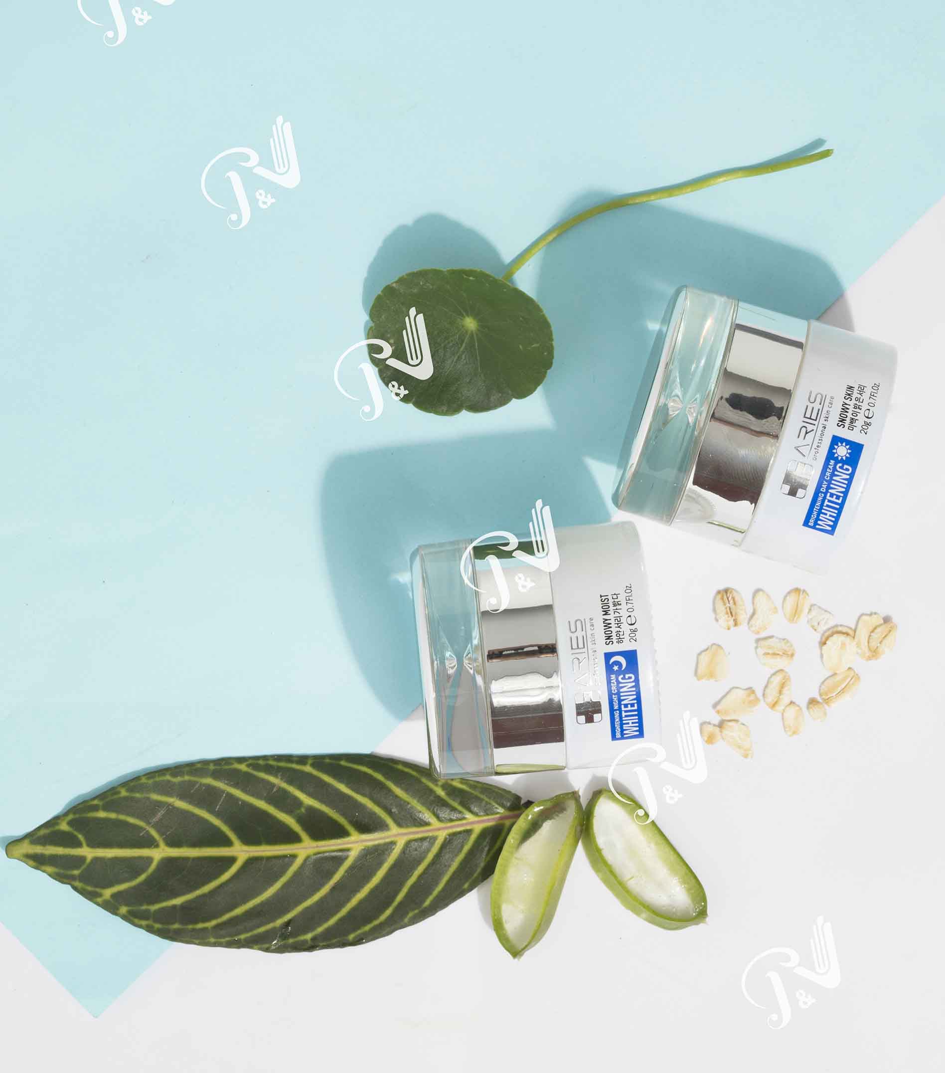 Kem đặc trị nám tàn nhang ban đêm Aries